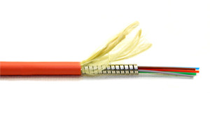 Multimode 6 Core OM1 Armored Plenum Fiber Optic Wire Cable P#TM6-0M1-PL $3.60/FT